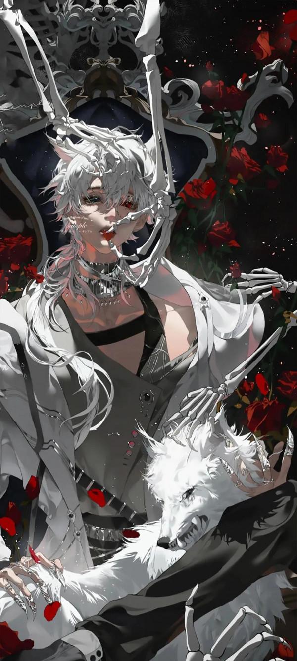 春節、美女、動漫、風景、貓全面屏手機桌布