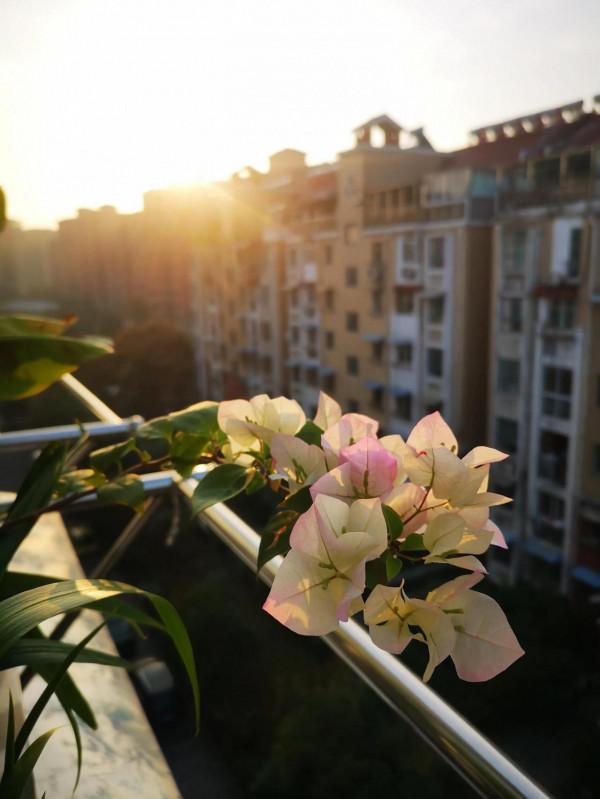 十月再見，十一月您好