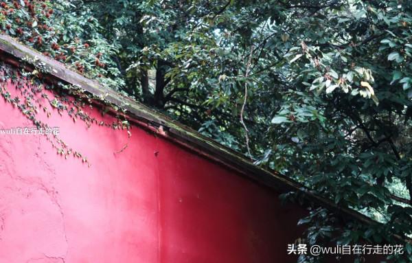 這個秋天,繼續闖蕩福州鼓山,用腳步丈量她的美 | 第63條徒步路線 這個秋天,繼續闖蕩福州鼓山,用腳步丈量她的美 | 第63條徒步路線