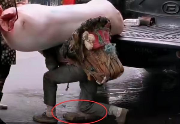 貴州47歲大叔,每天背幾千斤豬肉,月薪6千元,卻養大5個孩子 貴州47歲大叔,每天背幾千斤豬肉,月薪6千元,卻養大5個孩子