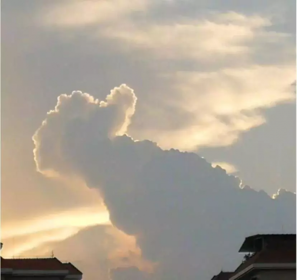 30個巧合圖片,奧特曼快來這裡有怪獸,鴨子居然和哈士奇結合了 30個巧合圖片,奧特曼快來這裡有怪獸,鴨子居然和哈士奇結合了