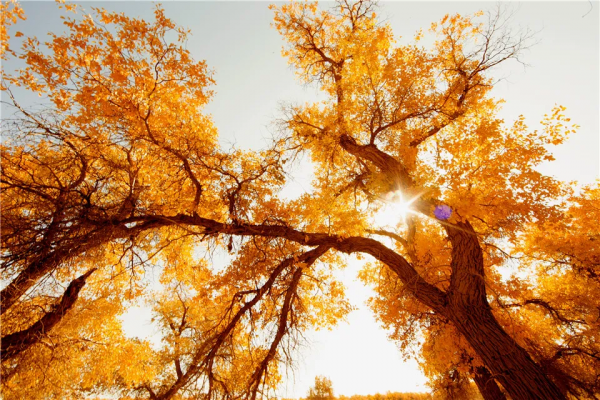 美呆!國內這8個地方一定要去!定會給你不一樣的驚喜 美呆!國內這8個地方一定要去!定會給你不一樣的驚喜