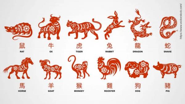 歷史上真正的龍 歷史上真正的龍