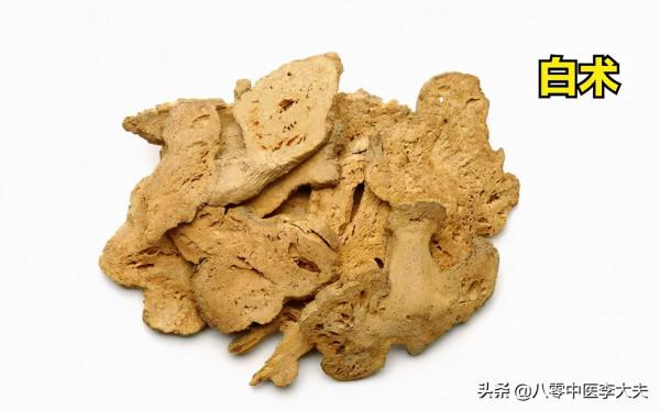 喝水都會胖,脾虛溼重?兩味藥,健脾祛溼,消積除脹,減去小肚子 喝水都會胖,脾虛溼重?兩味藥,健脾祛溼,消積除脹,減去小肚子