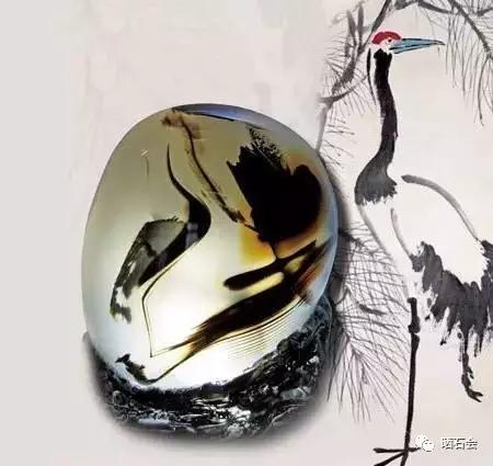 海底精靈（上）