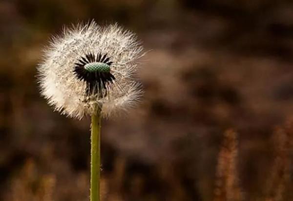 兩次三番與你斷絕來往，後又腆著臉來找你和好，你有這樣的朋友嗎