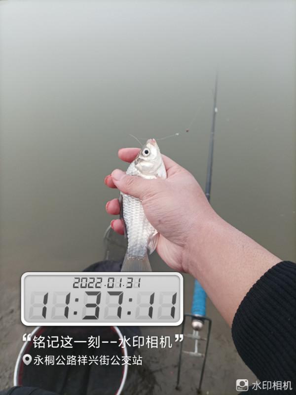 新年新氣象，虎年首釣完美爆護