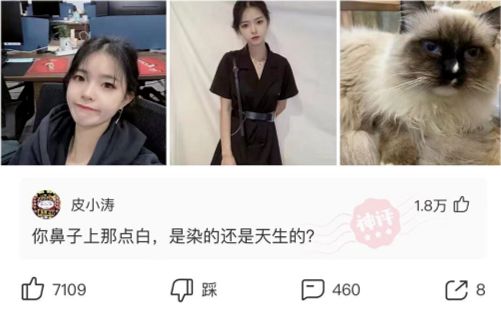 神回覆：你認為動漫界的四大名著是什麼？