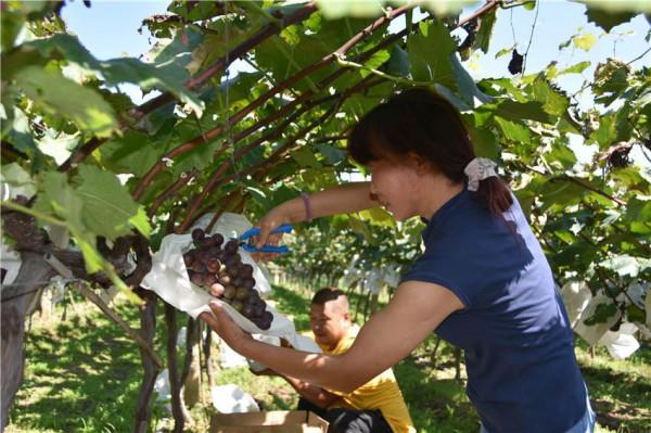 昔日落後的小山村,如今成了全國聞名的旅遊村 昔日落後的小山村,如今成了全國聞名的旅遊村
