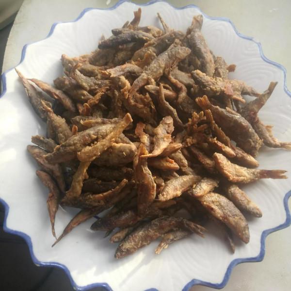 來冷極驛站遊玩