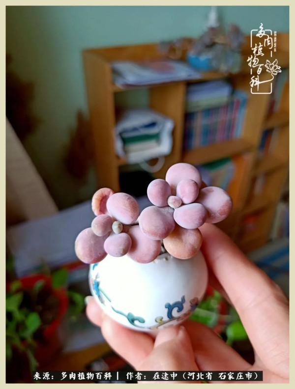 落葉知秋,願你安好 落葉知秋,願你安好