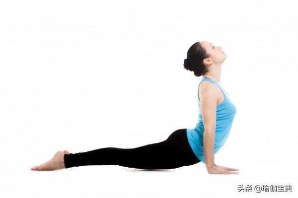 瑜伽眼鏡蛇姿勢的重要性 眼鏡蛇姿勢是最有力、最有益的姿勢之一 瑜伽眼鏡蛇姿勢的重要性 眼鏡蛇姿勢是最有力、最有益的姿勢之一