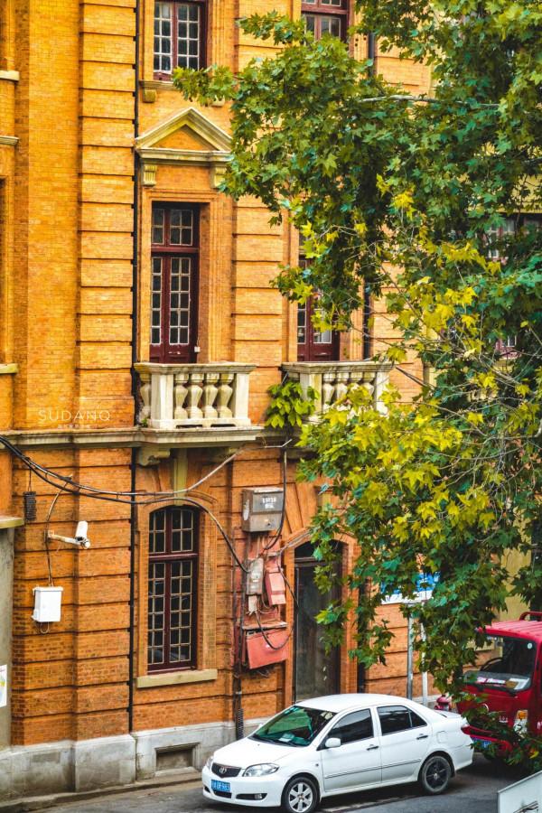 武漢人究竟多愜意?46萬平方米的城市公園猶如森林一般,景色醉人 武漢人究竟多愜意?46萬平方米的城市公園猶如森林一般,景色醉人