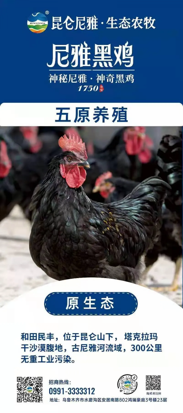 鄉村振興 攜手同行 | 每日推薦：新疆特色產品——和田民豐尼雅黑雞