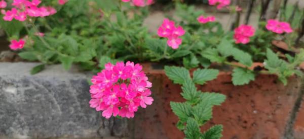 餘生，勸你別太閒