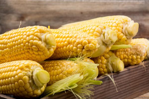 鄉土散文：秋收