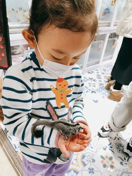 京城八大寶藏花市裡,藏著孩子最愛的植物園和水族館,冬日逛起來 京城八大寶藏花市裡,藏著孩子最愛的植物園和水族館,冬日逛起來