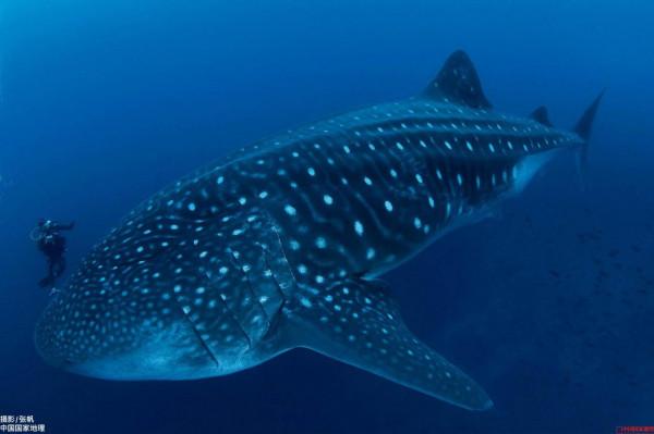 《國家地理》領略自然風光六