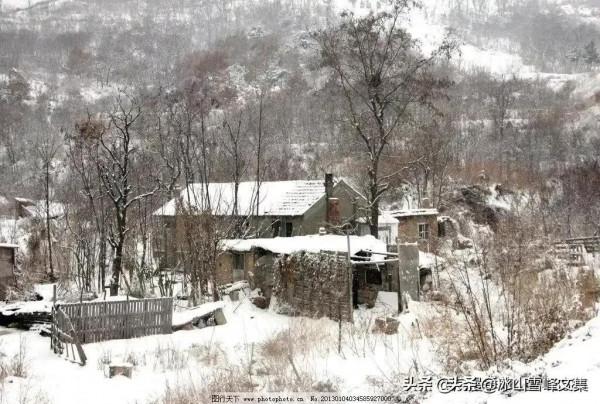 「散文」冬日隨思