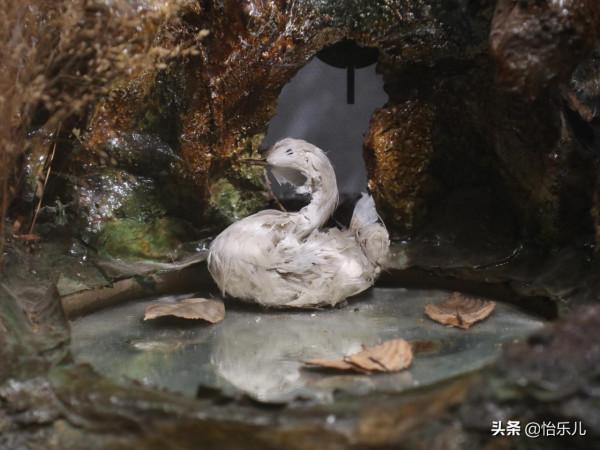 是玩具也是鐘錶,原本一對兒對兒的,如今分隔南博故宮兩地 是玩具也是鐘錶,原本一對兒對兒的,如今分隔南博故宮兩地