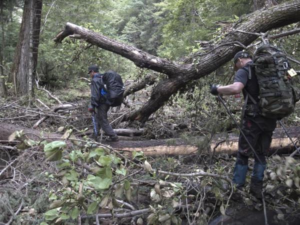 長白山驚現千年火山溶洞 長白山驚現千年火山溶洞