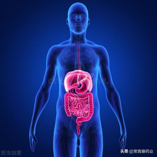 消化系統出了問題,容易表現在哪裡呢?醫生:早發現早治療 消化系統出了問題,容易表現在哪裡呢?醫生:早發現早治療