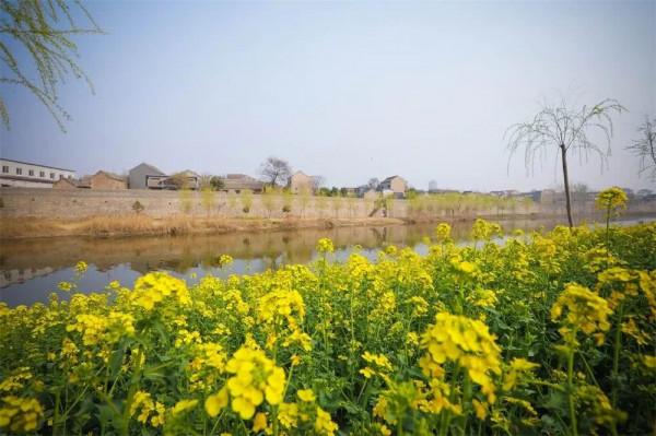 河南人口第一大縣，常住人口116.9萬人，素有“豫北糧倉”之稱