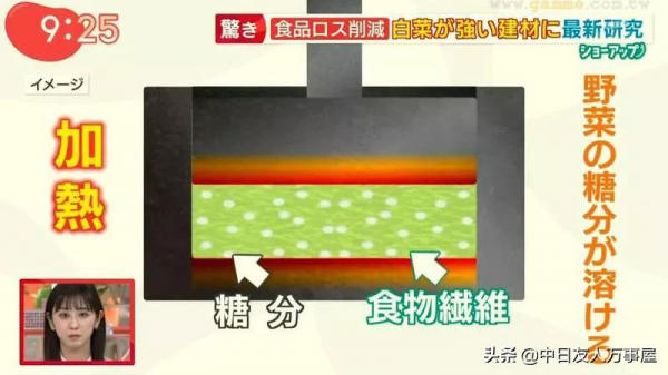 用白菜蓋房子，當作建材是混凝土的４倍，不但環保還可以拿來吃？