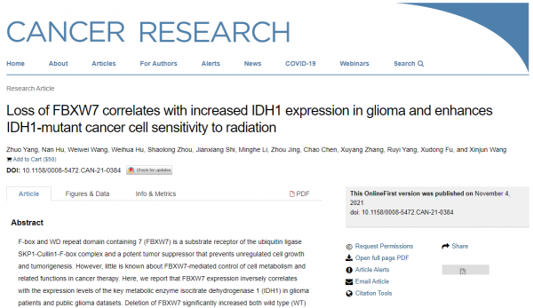 死亡率逐年增加！河南科學家取得惡性腫瘤治療重大進展，引發國際關注！