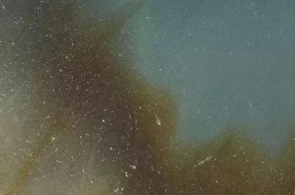 “沒有蒼蠅翅的翡翠統統都是假貨嗎？”不要再被騙了