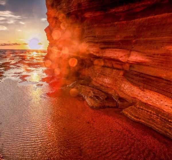 晚讀·映象｜|海島暖陽