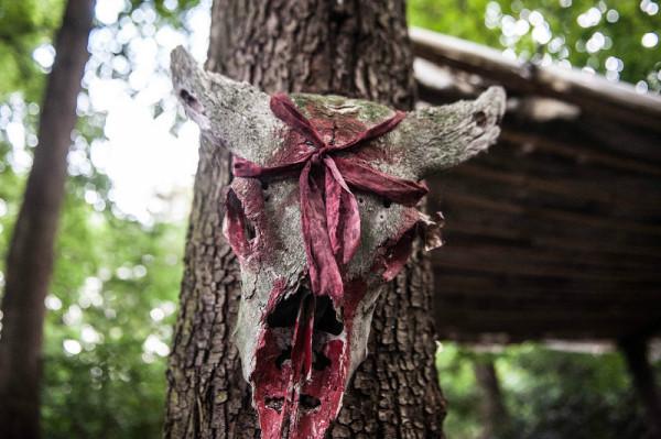 貴州藏了個超神奇部落,刀劍不入,威名遠赫,曾讓諸葛亮頭疼不已 貴州藏了個超神奇部落,刀劍不入,威名遠赫,曾讓諸葛亮頭疼不已