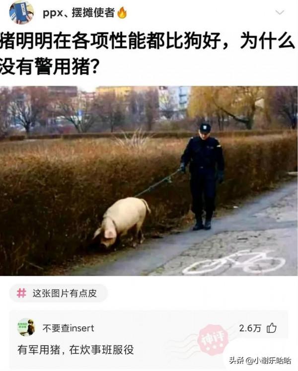 神回覆：如果我把靖國神社炸了，國家會保護我嗎？神評絕了