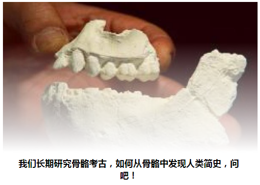 什麼是人骨考古學？如何從骨骼中發現人類簡史？