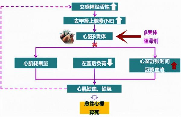 冠心病、心絞痛,吃些什麼藥好呢? 冠心病、心絞痛,吃些什麼藥好呢?