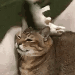 2021年時間進度條即將滿格 快進領取精神力量