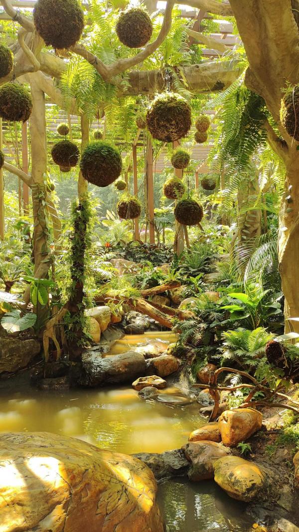 猶豫了很久還是買了