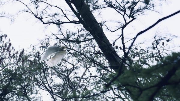 生死瞬間的神奇自救:危急時一個無法解釋的動作,讓將軍化險為夷 生死瞬間的神奇自救:危急時一個無法解釋的動作,讓將軍化險為夷