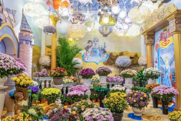 看河南開封清明上河園《大宋·東京夢華》晚會！可免費賞菊、免費夜遊、免費看百場演出