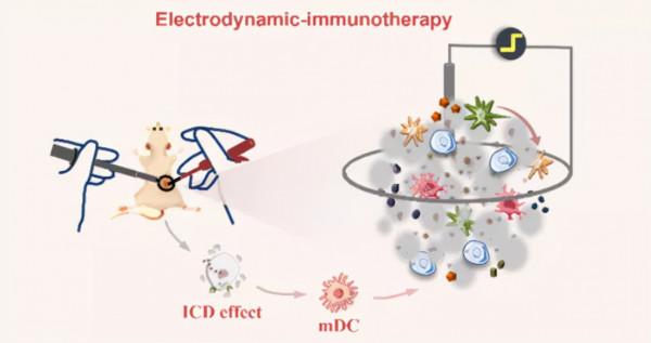 可對抗腫瘤複合和轉移！廣東科研團隊創新治療方法，引發國際關注&excl;