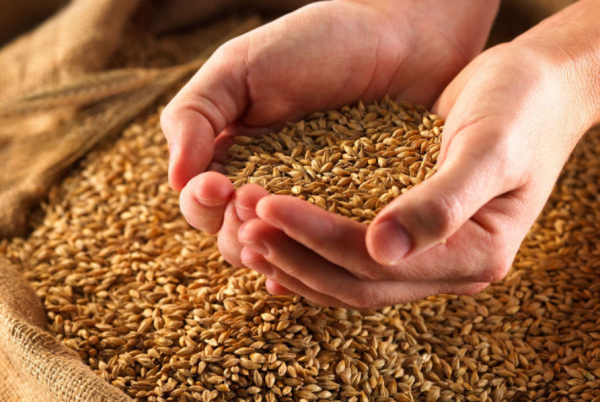 同是農業大國，為何印度出口糧食，而我國不缺糧卻要到處買糧