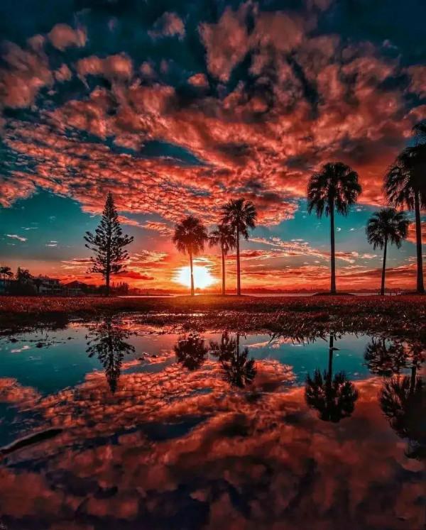 夕陽無限好，醉美夕陽