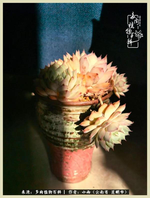 用一份熱愛，溫暖一段時光