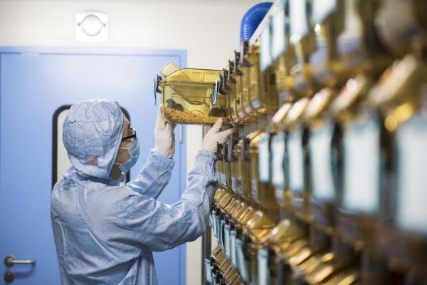 顛覆人的認知:高鹽飲食能抗癌防癌,抑制腫瘤細胞?是真是假 顛覆人的認知:高鹽飲食能抗癌防癌,抑制腫瘤細胞?是真是假