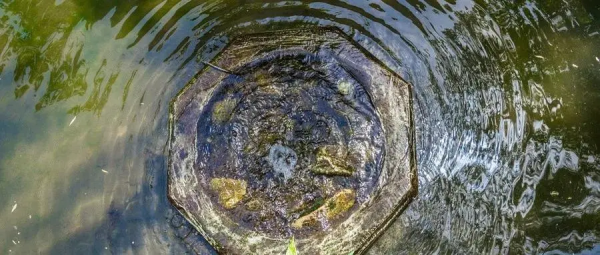 冬至：數九寒天一陽生，滋補暖胃禦寒溼