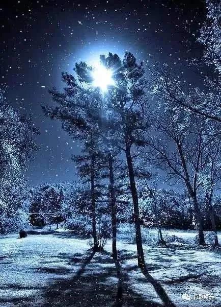 恐懼死亡,只因為我們太聰明 恐懼死亡,只因為我們太聰明