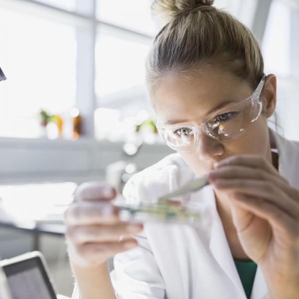 40年後，一個孩子可能有多個父母！未來學家為何會這樣預言？