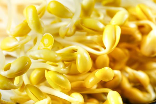 明日秋分，飲食要減辛增酸，多吃1紅2黑3白，忌1豆，平安入深秋