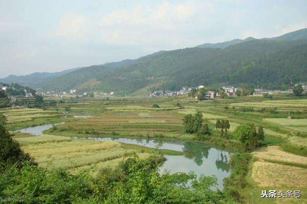 兒時的記憶 兒時的記憶