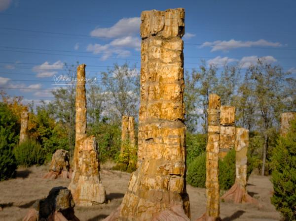浙江遊記 | 藏在紹興佛寺裡的北緯30度“神秘遺蹟”